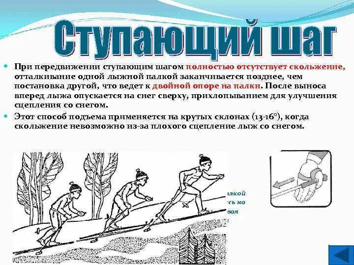 Техника подъема ступающим шагом. Подъем ступающим шагом на лыжах. Подъем скользящим шагом. Подъем ступающим шагом на лыжах техника.