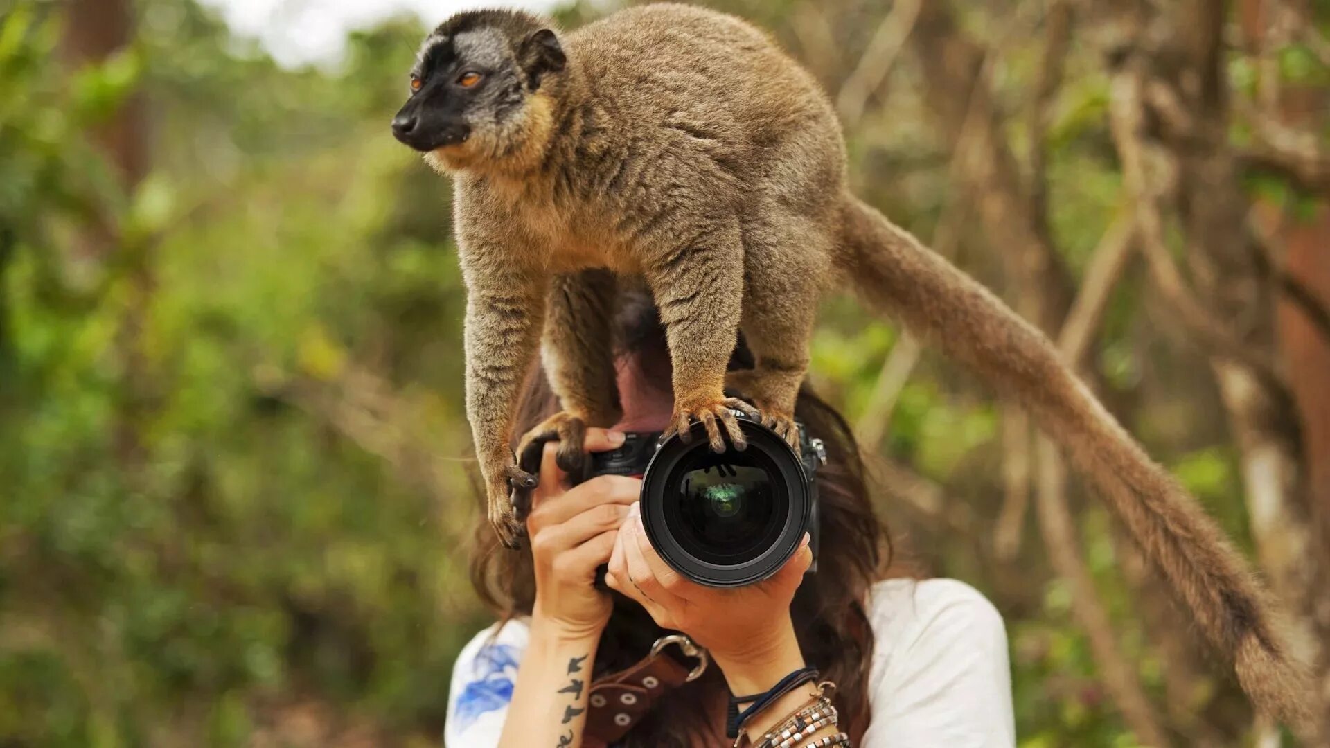 Животные с фотоаппаратом. Фотографирует животных. Люди и животные. Природа и животные. Фотографы дикой природы