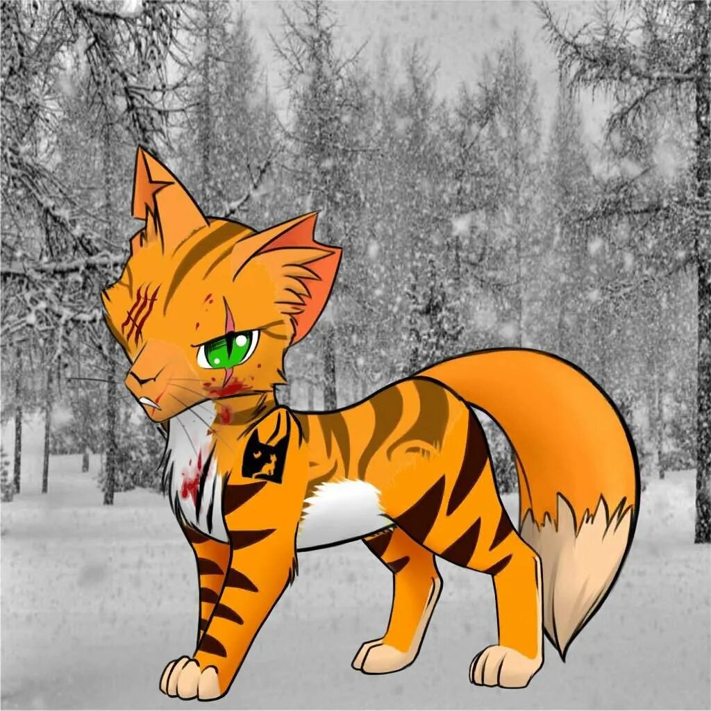 Коты воители 4. Коты воители огнезвезд и племя. коты воители огнезвёзд крутой. коты воители джинго. шафран луговой коты воители.