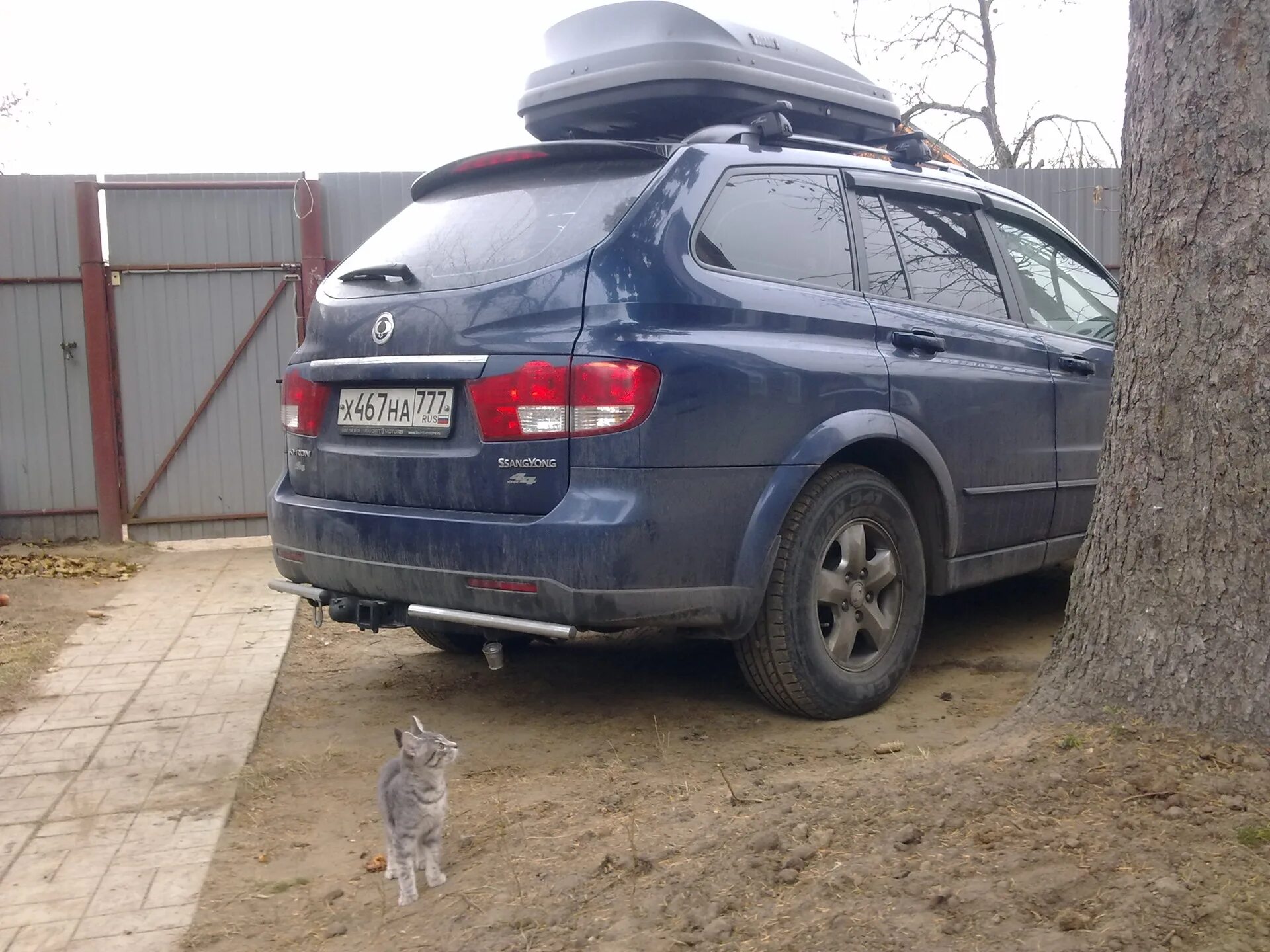 Багажник саньенг кайрон. Багажник на крышу SSANGYONG Kyron. Бокс на крышу SSANGYONG Kyron. Санг енг Кайрон с рейлингами. Багажник бокс на крышу Кайрон.