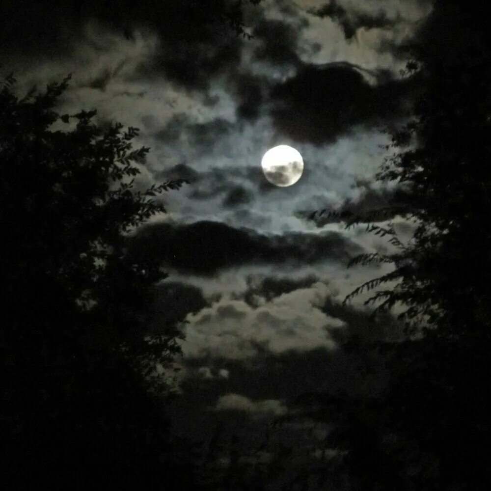Картина темная луна. Лунная ночь. Ночное небо страшное. Ночное небо с луной. Облака ночью.