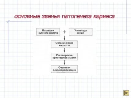 Первичное звено патогенеза