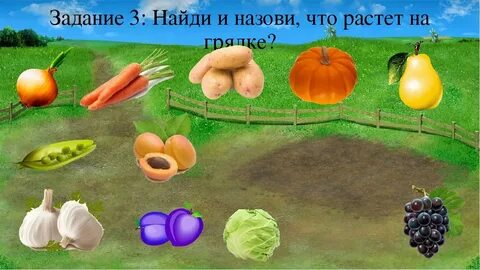Фрукты растущие в огороде