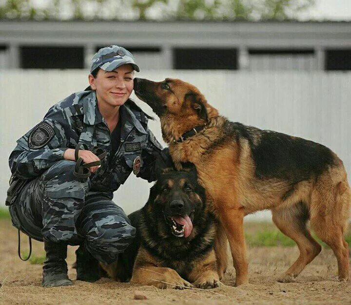 Как стать кинологом девушке