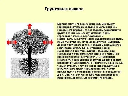 Территория корень