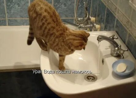 Магазины пошла вода