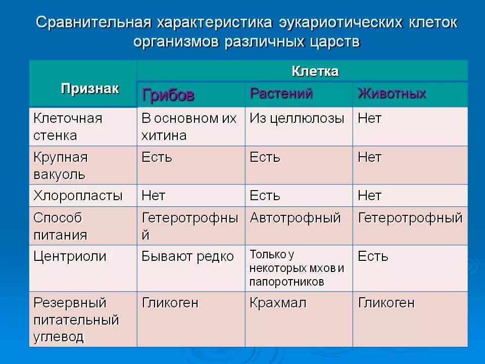 проанализируйте таблицу 26 охарактеризуйте место россии. проанализируйте таблицу 2 в приложении к учебнику используя. проанализируйте таблицу 27 охарактеризуйте место. характеристика национальной экономики страны. выводы из анализа.