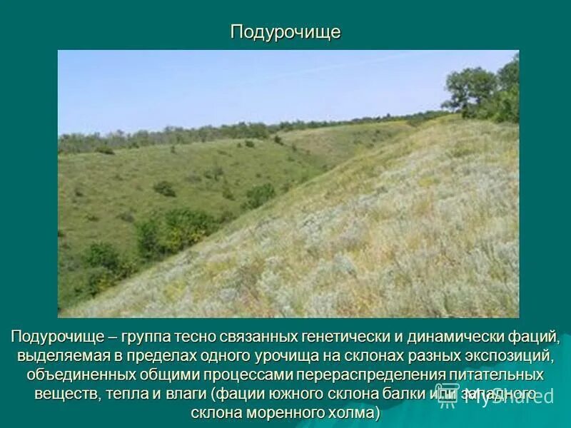 Урочище пример. Урочище ландшафтоведение. Территориальные единицы ландшафтов. Урочище ландшафтоведение. Урочище ховань.