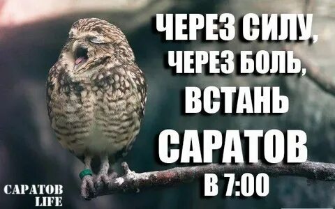 Через силу