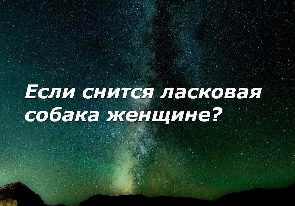 К чему снится щенки маленькие женщине замужней. К чему снятся собаки мужчине. Сонник собака к чему снится женщине. Во сне видеть собаку женщине. К чему снится большая собака женщине.