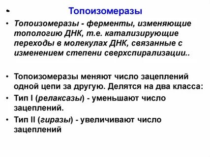 Роль ферментов днк