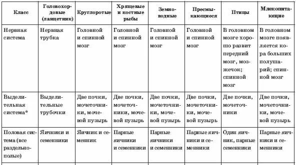 Тест позвоночные 7 класс. Хордовые нервная система 7 класс таблица. Типы нервной системы у хордовых таблица. Сравнительная характеристика типа хордовых таблица. Сравнительная характеристика класса хордовых таблица 7 класс.