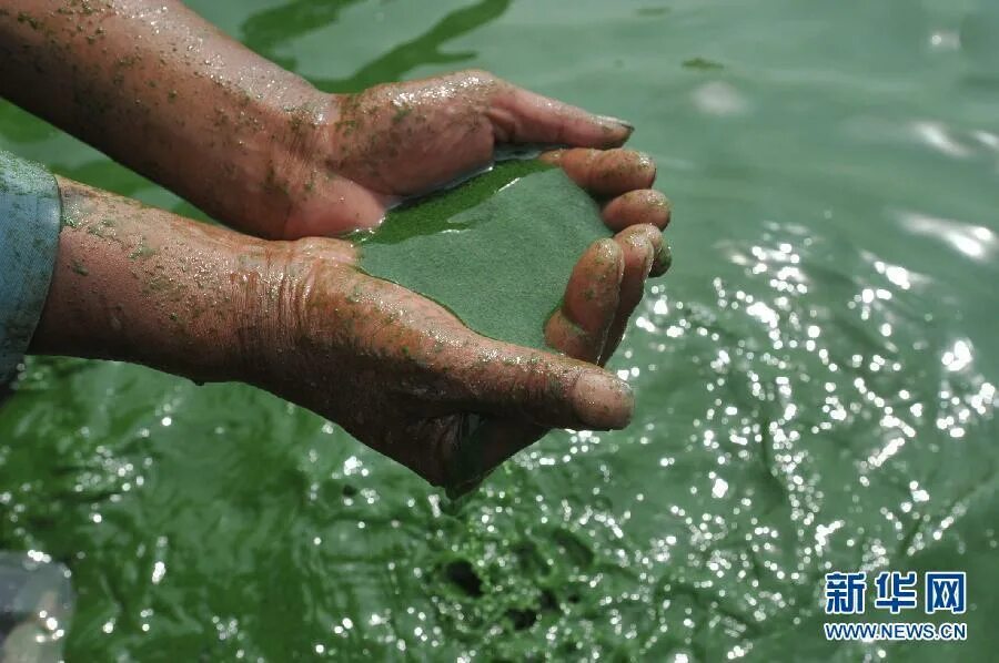 Грязная вода причины. Загрязнение воды. Грязная вода. Минеральные загрязнения воды. Биологическое загрязнение воды.