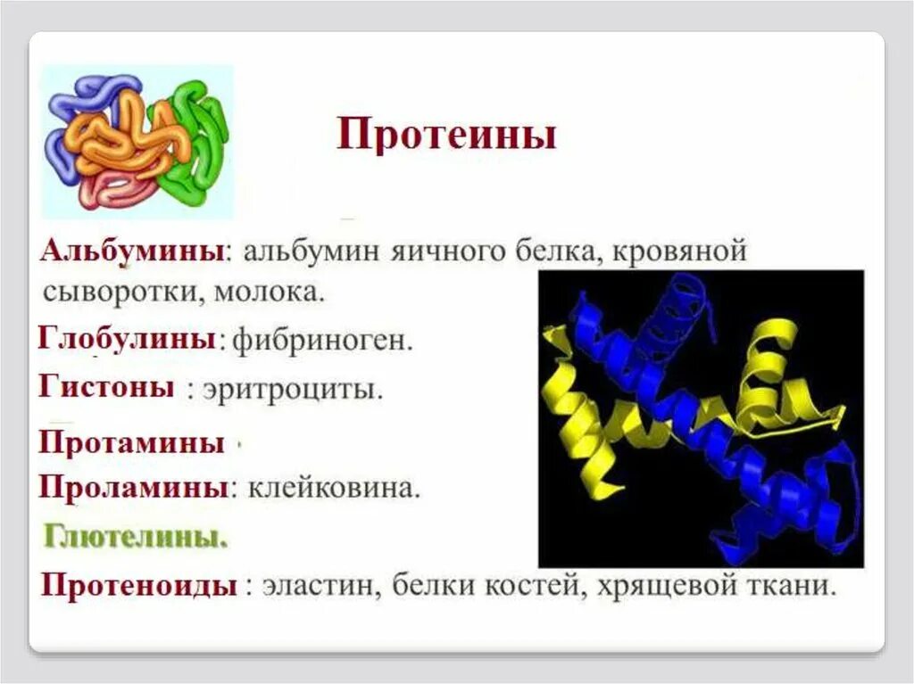 Простые белки альбумины глобулины. Гистоны альбумины глобулины. Простые белки альбумины глобулины гистоны протамины. Информационные макромолекулы. Первая группа белков