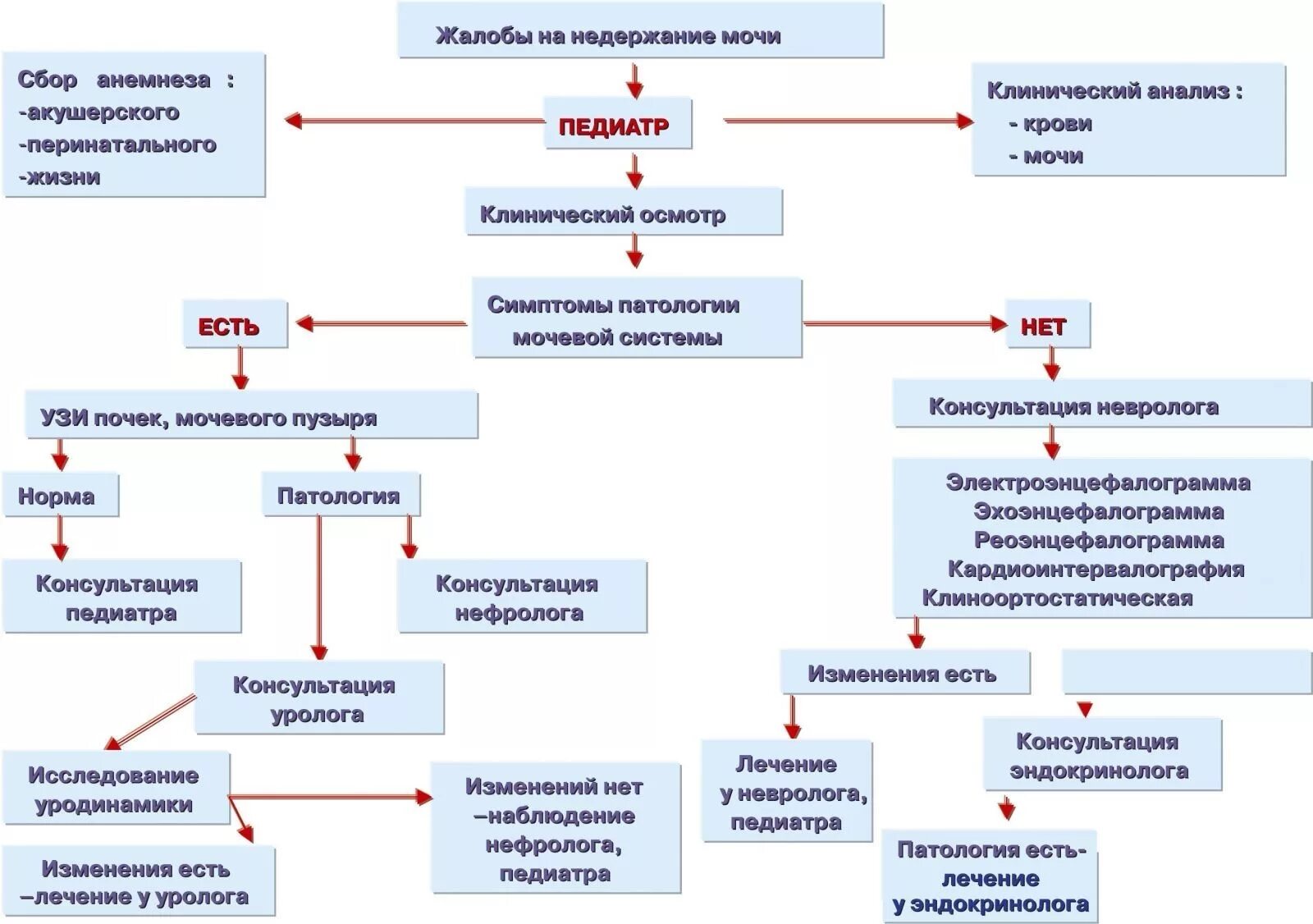 Ночное недержание мочи у мужчин. Обследование при энурезе. Механизм развития энурез. Обследование при недержании мочи у детей. Патогенез недержания мочи.