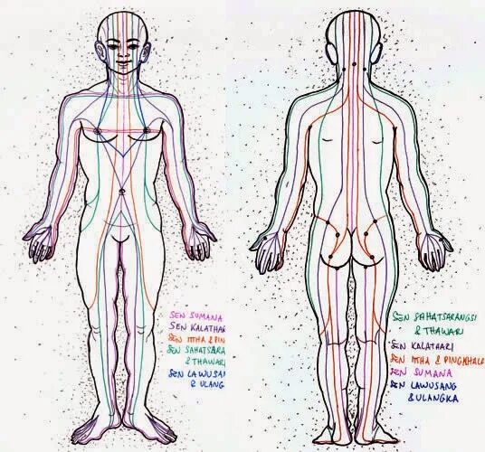 Линии сен. Энергетические линии массажа. Линии в тайском массаже. Энергетические линии в тайском массаже. Энергетические линии сен в тайском массаже.