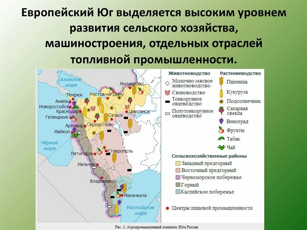 Какие отрасли пищевой промышленности развиты на европейском. Отрасли специализации промышленности европейского Юга. Хозяйство европейского Юга России карта. Отрасли сельского хозяйства европейского Юга. Отрасли промышленности европейского Юга России на карте.