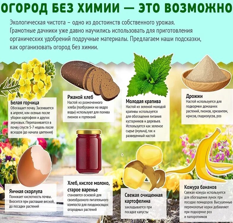 Подкормка томатов банановой кожурой. Удобрение для цветов из кожуры банана. Удобрение из кожуры банана для комнатных. Подкормка для цветов из банановой кожуры. Подкормка для растений из банановой кожуры для комнатных растений.