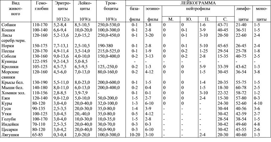 Морфологический состав крови. Нормы биохимических показателей крови у КРС. Гематологические показатели крови животных таблица. Морфологические показатели крови КРС. Показатели крови в норме у разных видов животных.