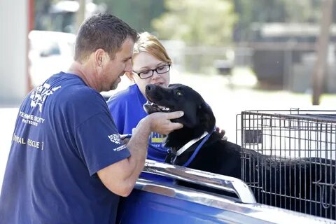 Animals help people