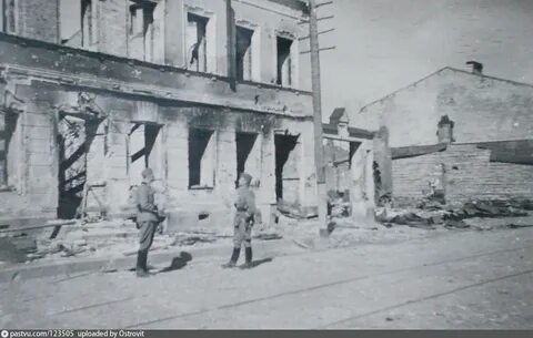 Петергофско стрельнинская группировка