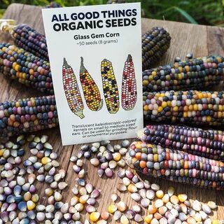 Glass corn