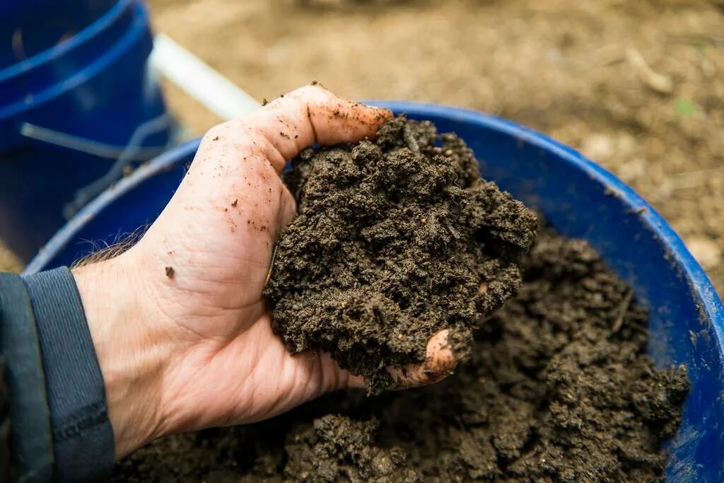 Подготовка почвы открытого грунта