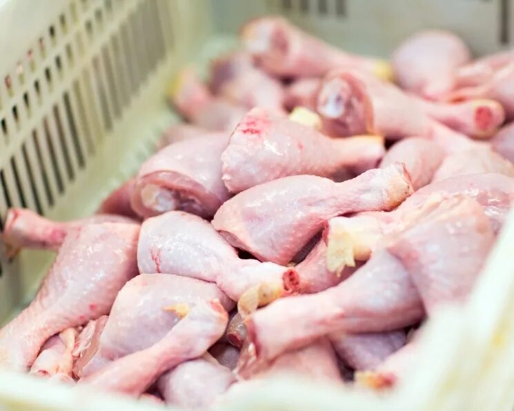 Мясо птицы. Переработка мяса птицы. Мясо птицы в птицефабрике и упаковка. Мясной запас курица.