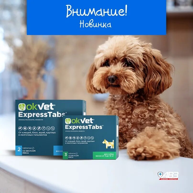 Экспресс табс для собак. Таблетки авз оквет от блох глистов и клещей. Экспресс табс для собак от клещей. Экспресстабс/бравекто д/собак от 30 кг до 60 кг. Экспресстабс/бравекто д/собак от 5 кг до 15 кг.