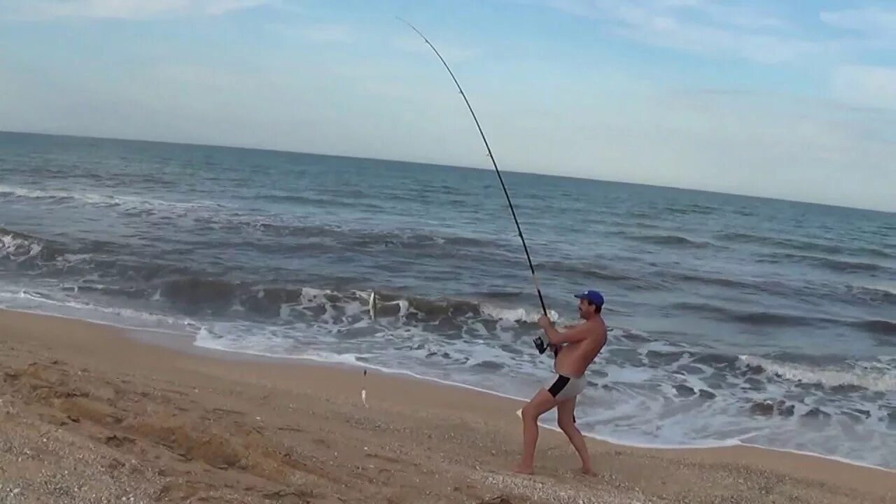 Азовское море на что ловить рыбу В Азовском море после присоединения Крыма, а также из-за изменений климата стало