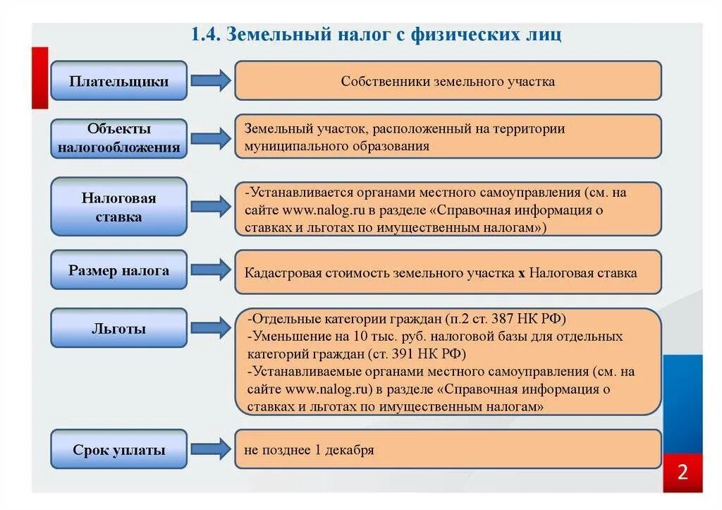 Сроки уплаты налогов физ лиц