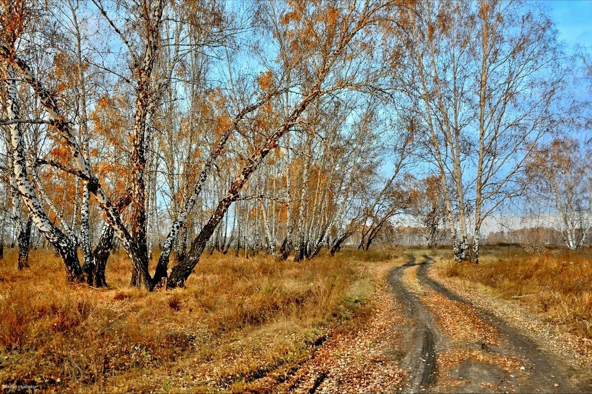 Картинки поздней. Череповец поздняя осень. Сухая поздняя осень. Поздняя осень иллюстрации. Поздняя осень осень.