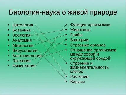 Общая биология это наука изучающая