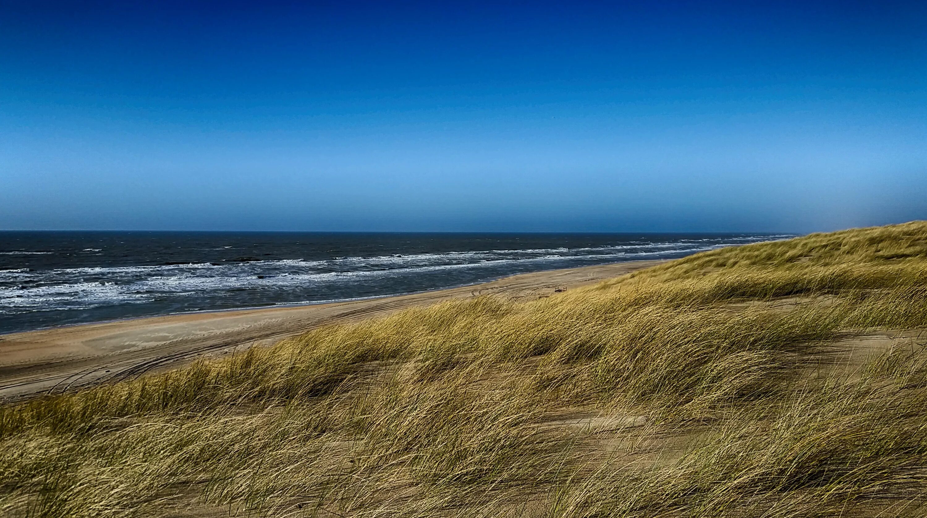 Нидерланды дюны море. Северное море Голландия. Побережье Северного моря. Нидерланды Северное море пляж.