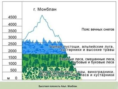 Высотная поясность практическая работа 8 класс география
