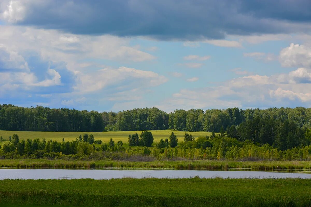Пейзажи зауралья. Ландшафт курганской области. Зауралье оренбург природа. Равнины курганской области. Шадринский район природа.