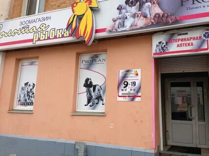 Каталог зоомагазина золотая рыбка