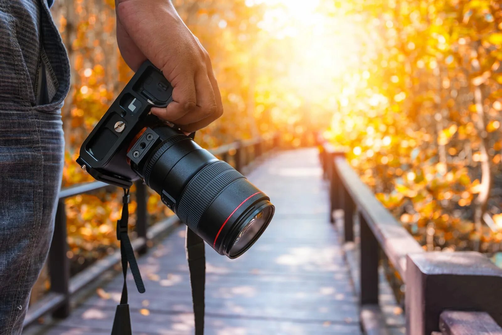 Camera form