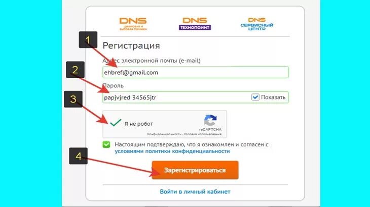 Mail dns shop. DNS интернет магазин личный кабинет. ДНС почта. ДНС вход. Личный кабинет ДНС магазина.