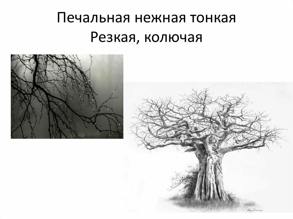 Характер линий дерево. Характер линий изо. Характер линий ветки деревьев. Характер линий в рисунке.