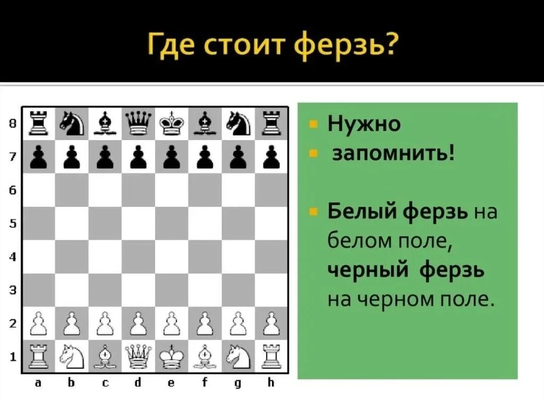 На шахматной доске 5 белых фигур. Расстановка фигур в шахматах Король и ферзь. Шахматы расположение фигур ферзь. Расстановка шахматных фигур Король ферзь. Шахматы расстановка фигур на доске Король и ферзь.