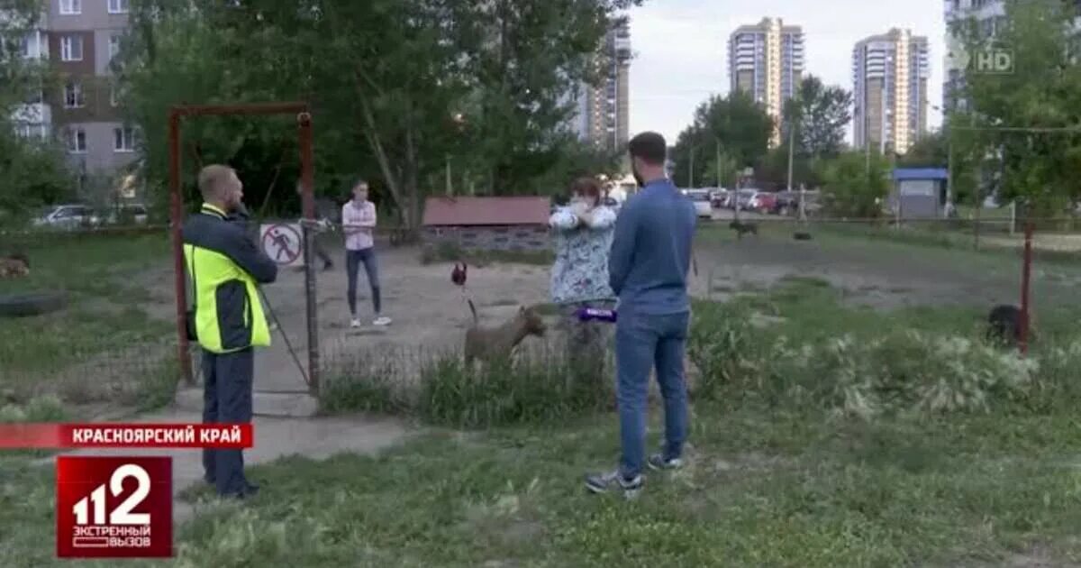 Нападение хулиганов. В Москве Бойцовая собака напала на ребенка 2012. В Петрозаводске хулиганы напали на цветочный.