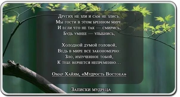 стих не зли других и сам не злись. сам не злись других не зли мы гости в этом мире. стих не зли других и сам. сама не злись других не. не злися сам других не зли.
