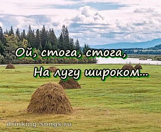 Ой стога. Ой стога текст. Ой стога стога толстой. Слово стог. Стога стога кубанский