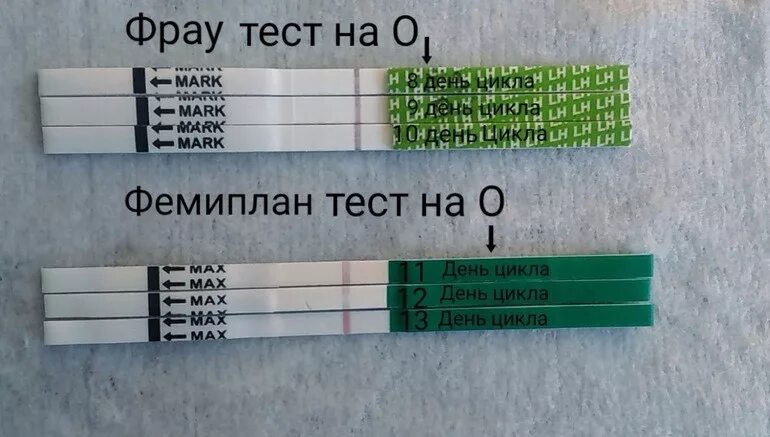 Можно забеременеть на следующий день после овуляции. Тест на овуляцию. Тест на овуляцию 8 день цикла. Тест на овуляцию на 7 день цикла. Тест на овуляцию при нерегулярном цикле.