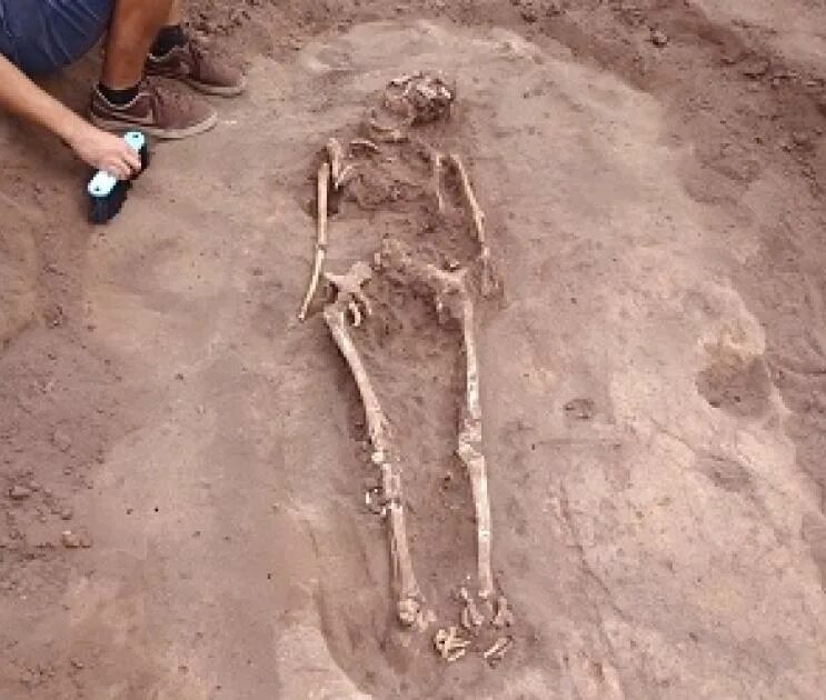 Шилово археология. В шилово нашли. В шилово нашли. В шилово нашли. Гадюка воронеж.