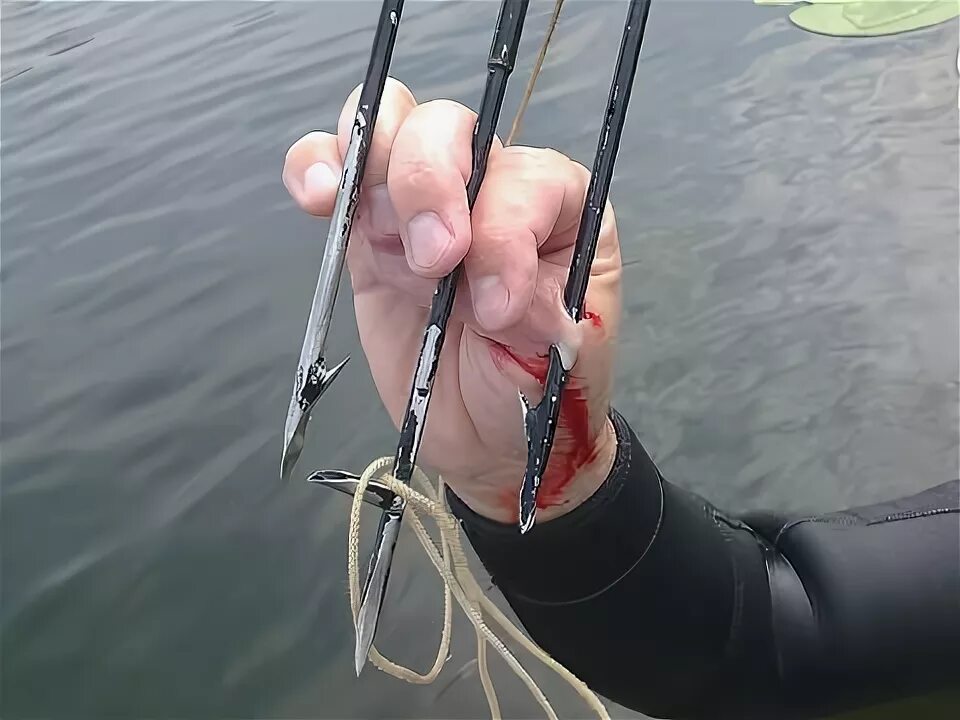 Подводный охотник. Подводная рыбалка. Подводная охота с гарпуном. Ламутский гарпун. Охота на рыб гарпуном.
