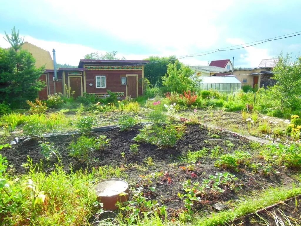 Снт ногинск. Снт путеец дмитровский район московская область. Снт сирень- 2. Снт березка 2. Снт путеец ногинск.