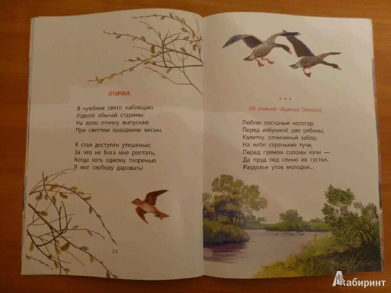 На волю птичку выпускаю при светлом. Стихотворение Пушкина птичка. Пушкин птичка стихотворение. Стих Пушкина на волю птичку выпускаю.