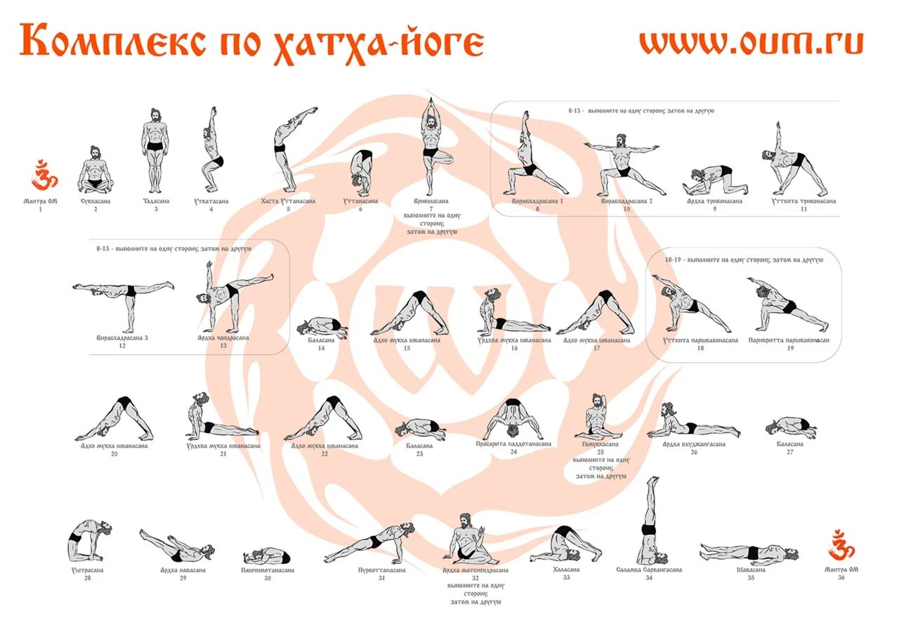 Каталог асан. Основные асаны хатха йоги для начинающих. Последовательность асан в хатха йоге для начинающих. Хатха-йога комплекс асан. Последовательность йоги для начинающих.